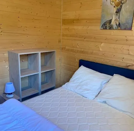 Appart Style Chalet Superbe Vue, Ski Vip Remise 20 %